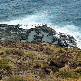 Makapu'u  ... (DP3 Q)