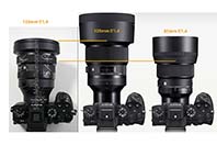 ñ׸ 135mm F1.4 ̹